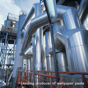 https://www.igiwallcoverings.org/wp-content/uploads/2012/01/Avebe-Leading-producer-of-wallpaper-paste.jpg