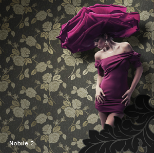https://www.igiwallcoverings.org/wp-content/uploads/2012/01/Parato-Nobile-2.jpg